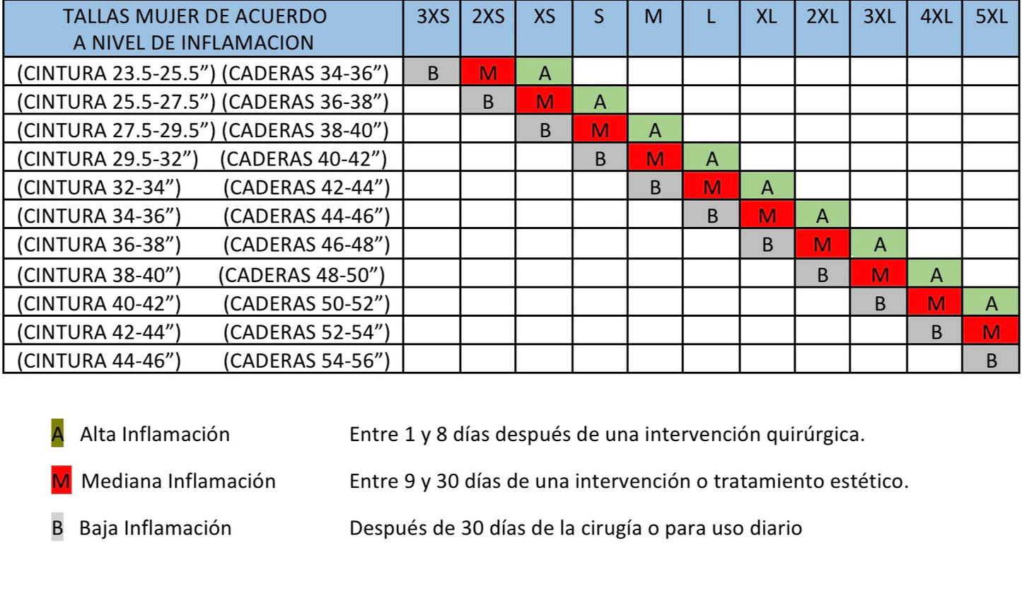 FAJA A LA RODILLA ESPALDA ALTA Y MANGUILLOS FINOS (Ref. 09175)
